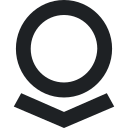 PLTR Asset